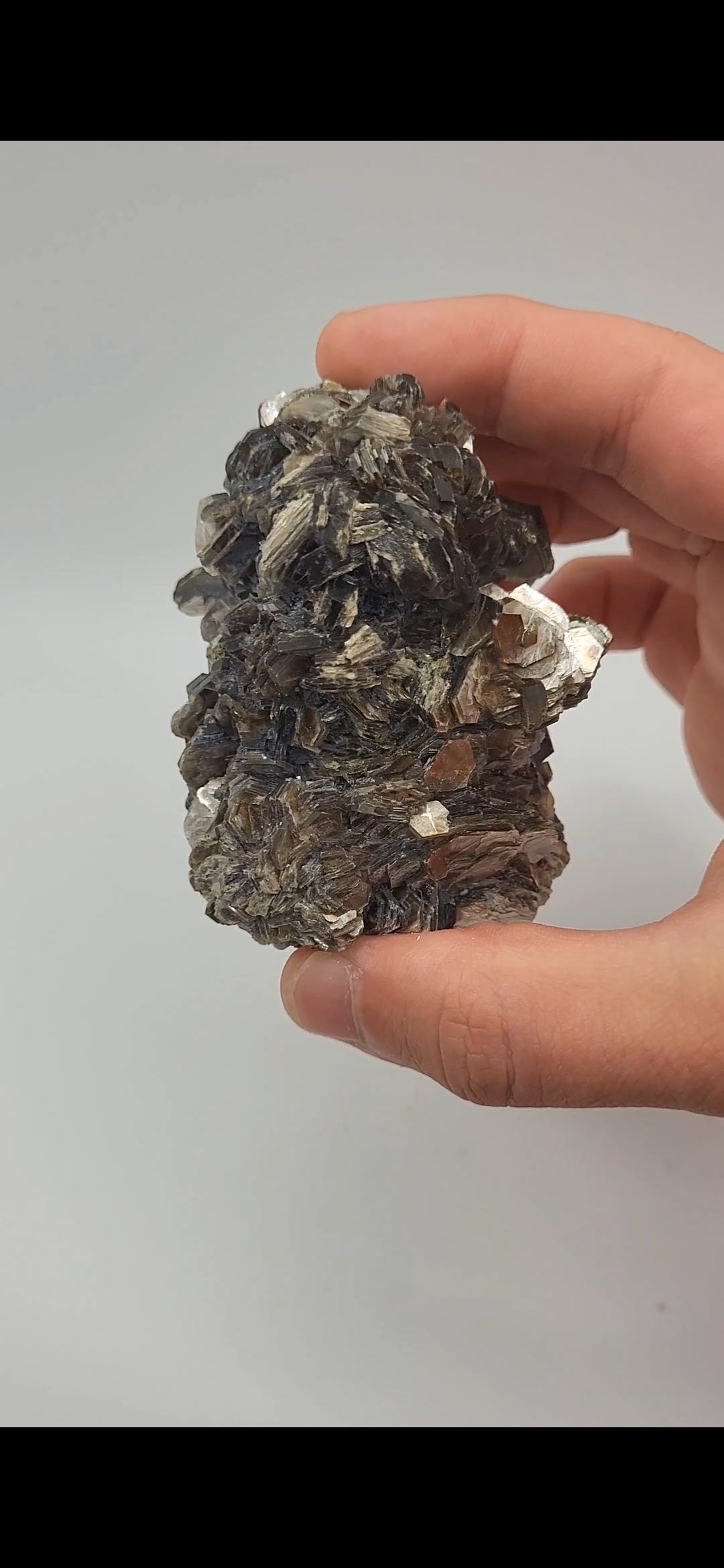 Muscovite