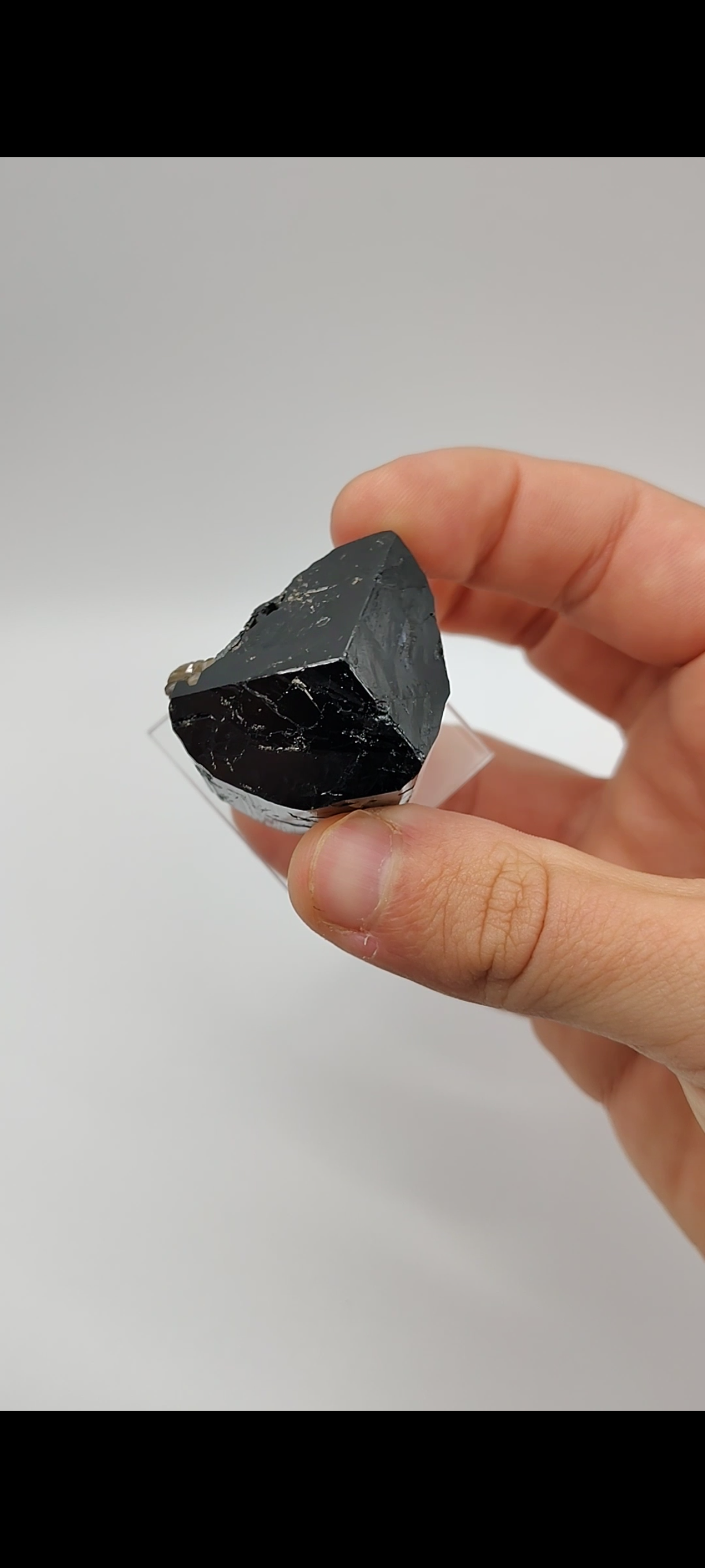 Tourmaline and Muscovite