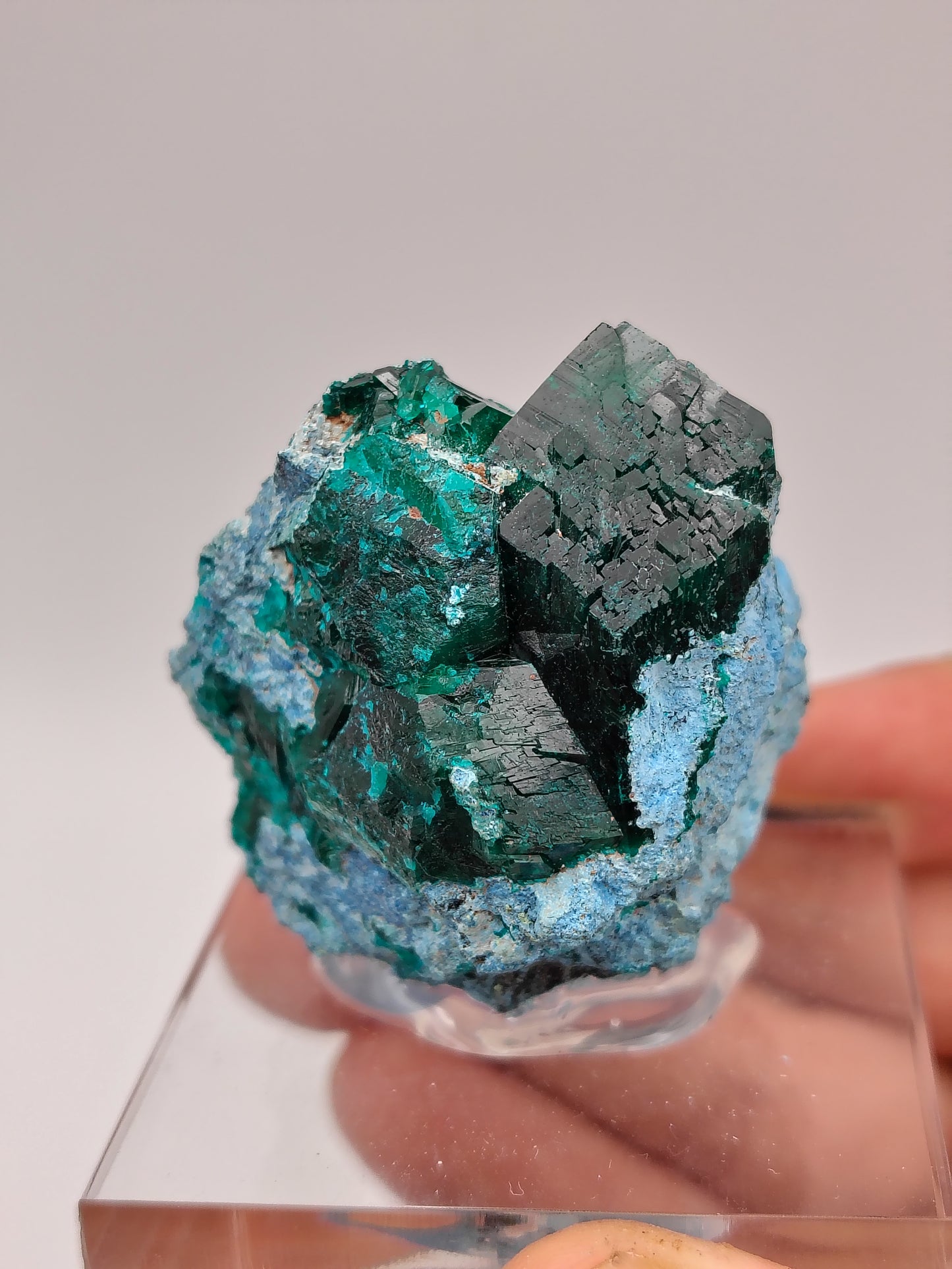 Dioptase on Shattuckite