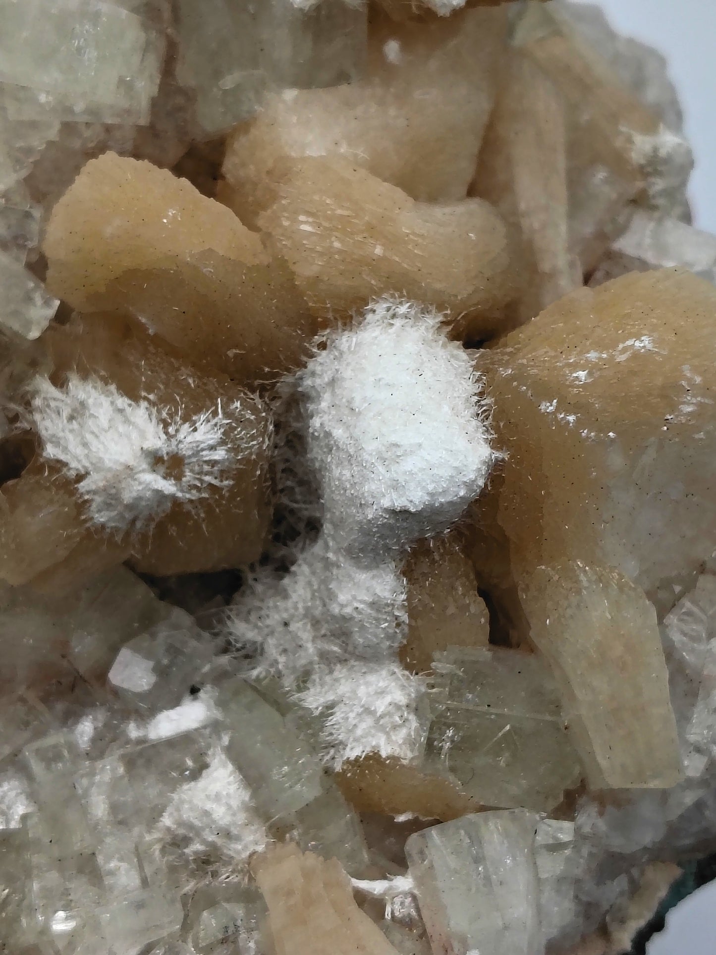 Okenite on Stilbite and Apophyllite