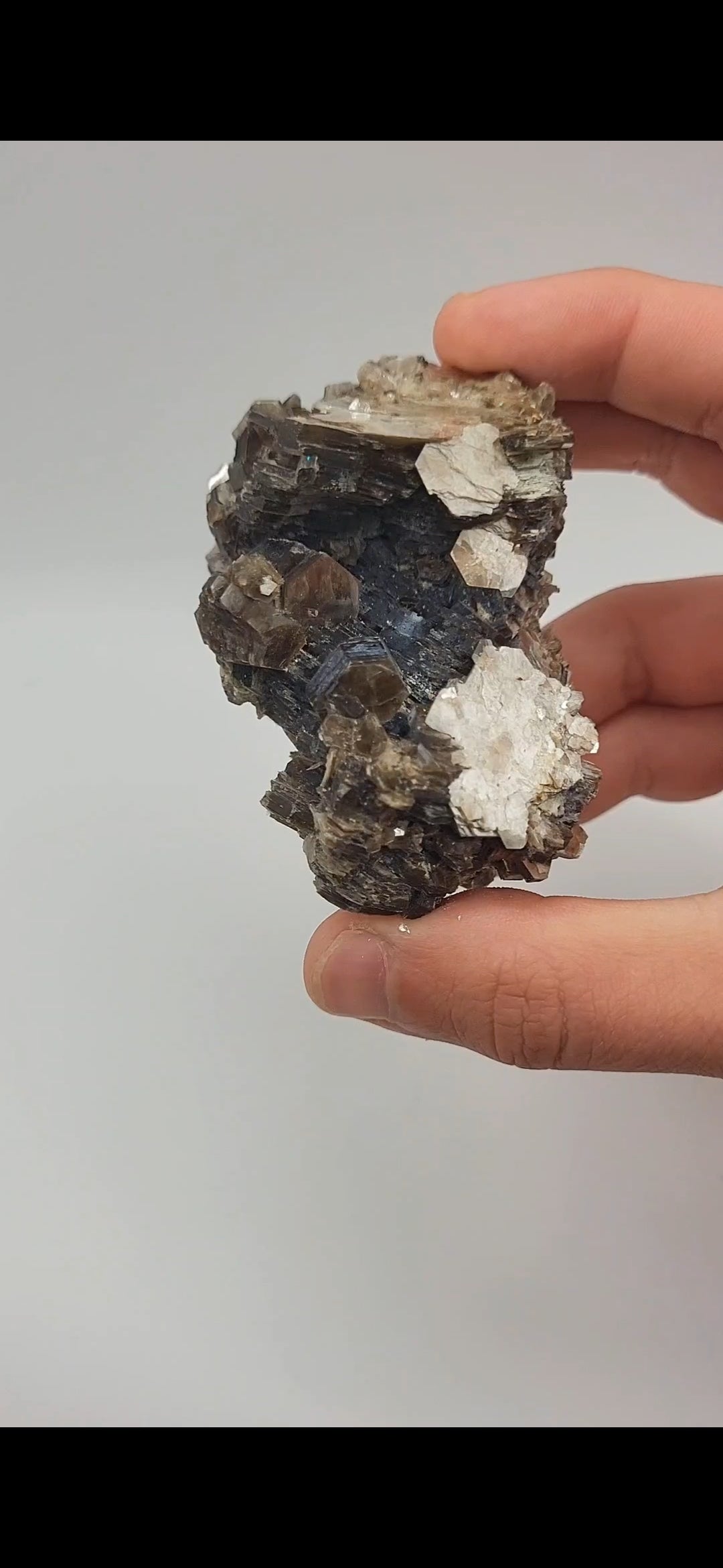 Muscovite