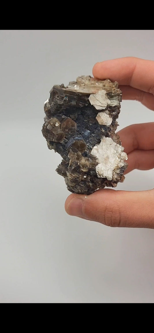 Muscovite