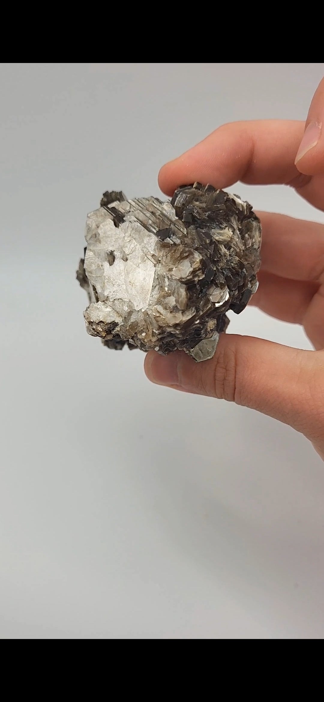 Muscovite