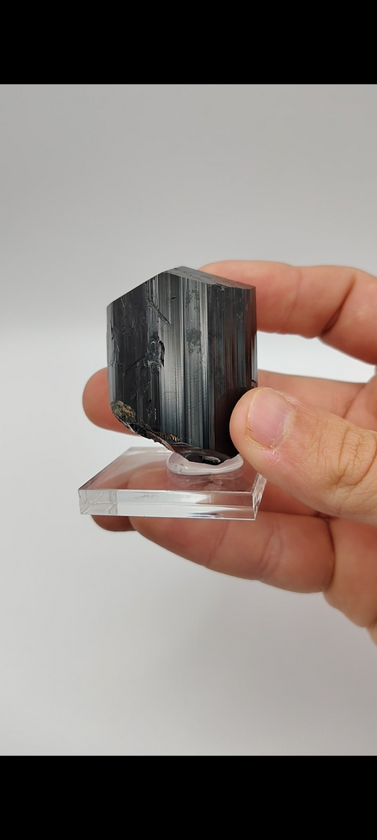 Tourmaline and Muscovite