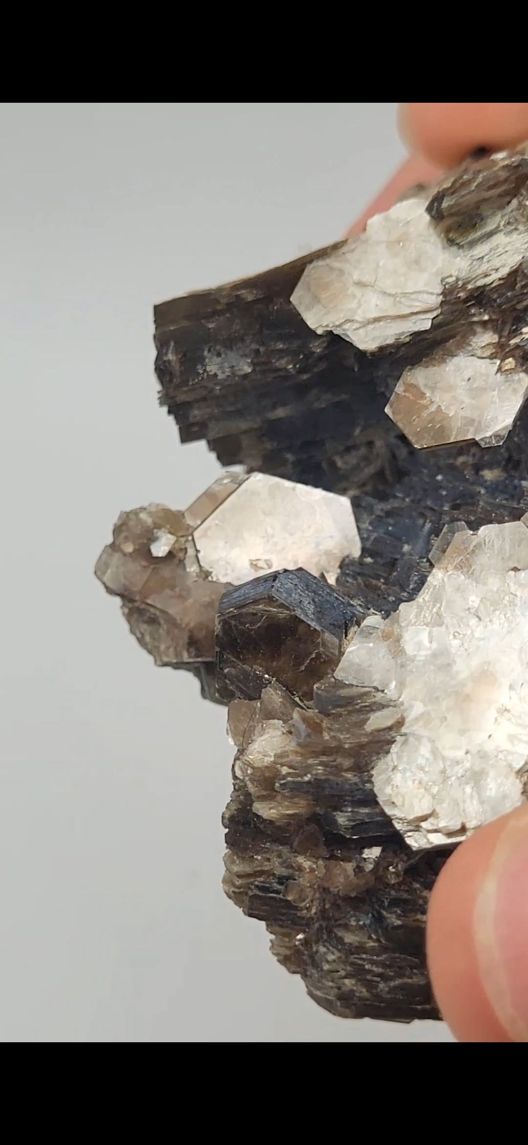 Muscovite