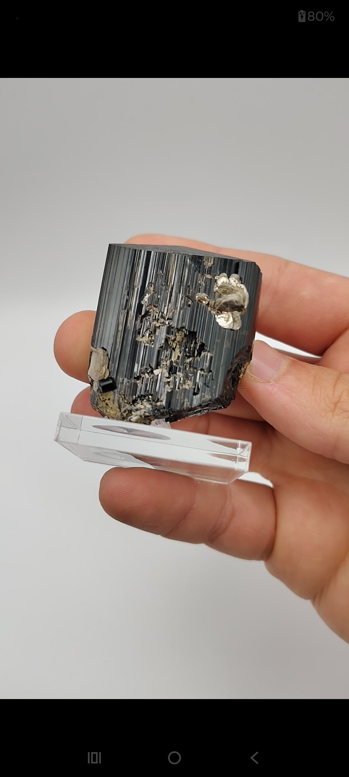 Tourmaline and Muscovite