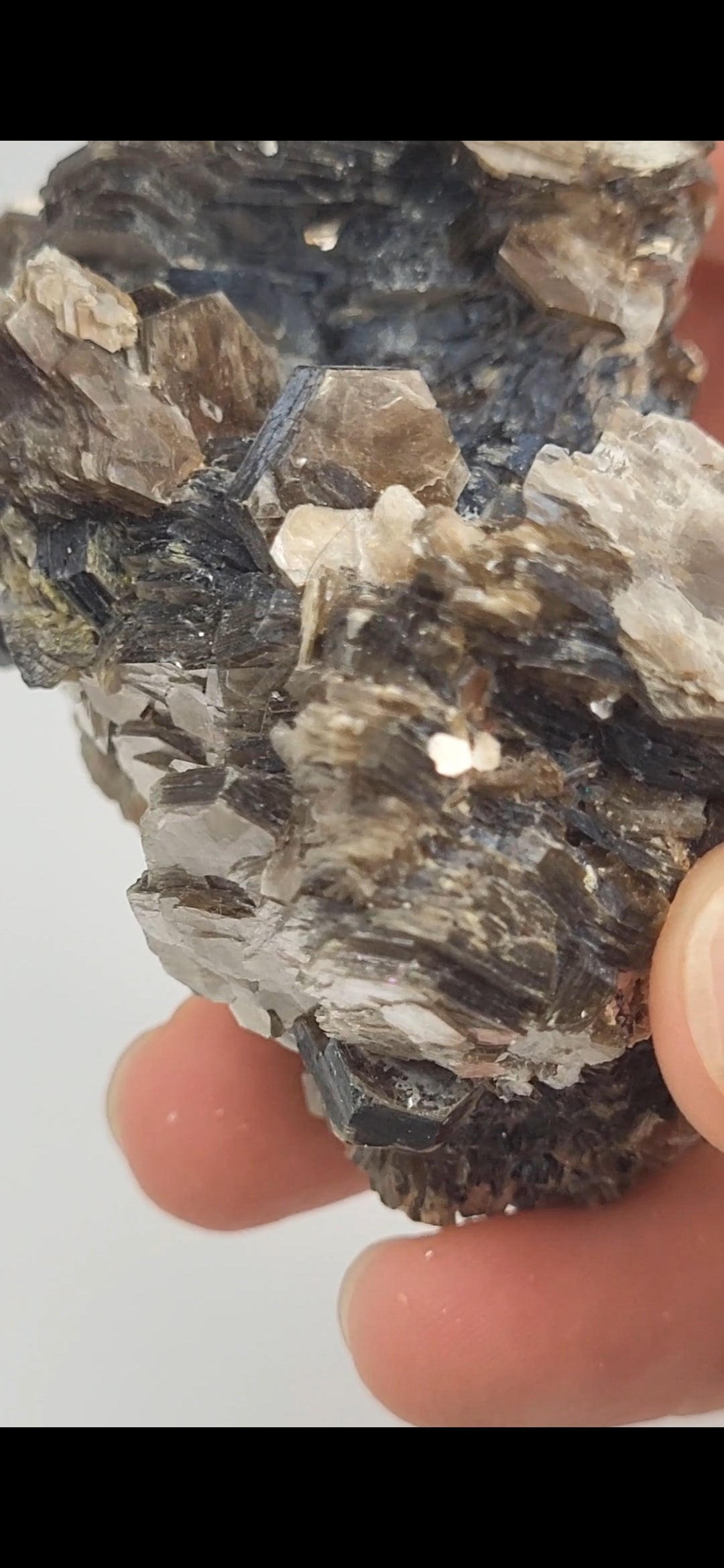 Muscovite