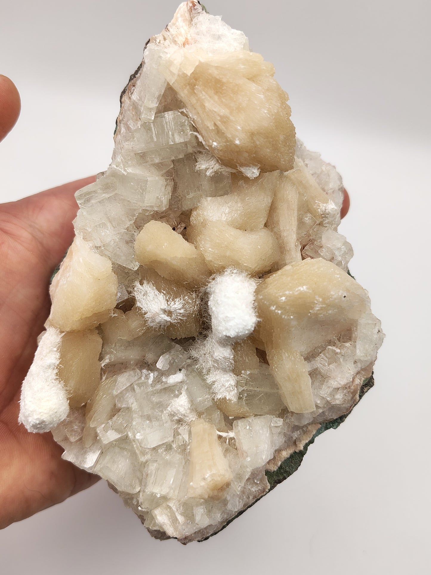 Okenite on Stilbite and Apophyllite