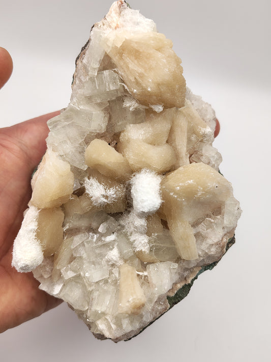 Okenite on Stilbite and Apophyllite